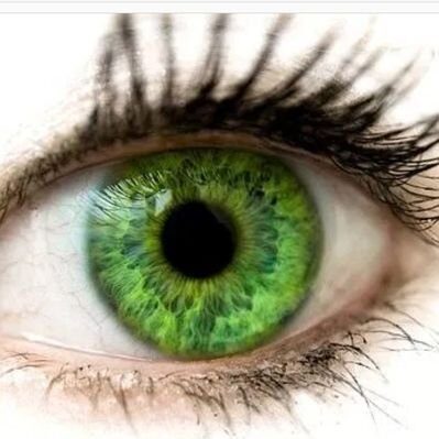 GreenEyedLady